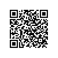 优化管理效能 筑牢新质生产力根基