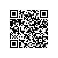 泾县女企业家沙龙在皖南电机举行