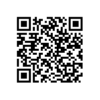 皖南电机召开驻外销售经理迎春座谈会