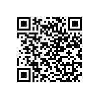 皖南高压电机-Y2系列高压（6kV）