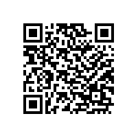 安标国家中心专家组来皖南电机进行监督评审