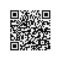 水环式真空泵低压交流电动机烧毁的原因分析及处理