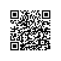 SKF来皖南电机开展轴承知识培训