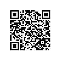 皖南电机赴美参展