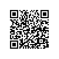 皖南电机售后服务案例四：YZQ电机启动故障解析