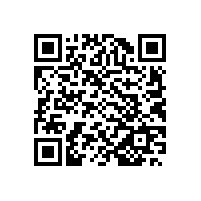 宣城市高端装备制造业质量提升培训基地揭牌仪式”在皖南电机举行