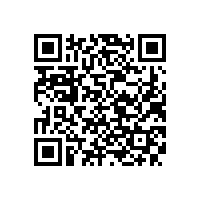 办公家具个性“山寨”办公家具毒瘤