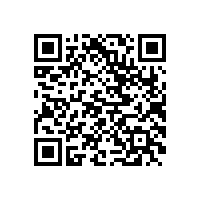 CEO办公经典案例