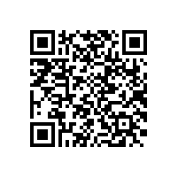 上海百胜软件股份有限公司