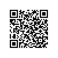 JBT 7594-2018 YR系列高压绕线转子三相异步电动机技术条件（机座号355～630）