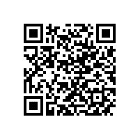 市政府领导来皖南电机调研