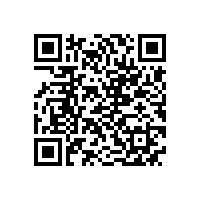 皖南电机入选“安徽省2022年制造业单项冠军培育企业”