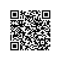 香港李宝成博士来公司开展精益生产培训