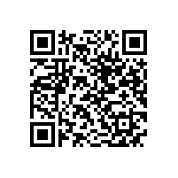 QWN.291-2021 YE4系列(IP55)三相异步电动机技术条件（机座号63～355）2