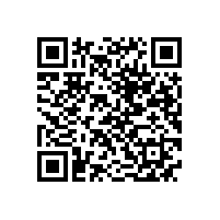 QWN.621-2022 YFBBP 系列粉尘防爆型变频调速三相异步电动机技术条件(机座号80～355)