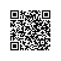 孙跃应邀参加高效电机技术推广交流会