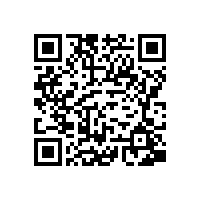 皖南电机进一步全面推进班组建设工作