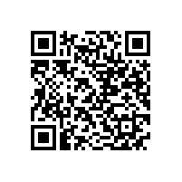 皖南电机样本-NE系列