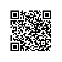 皖南电机样本-ZSL4直流系列