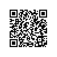 皖南电机组团去德国AMK公司考察