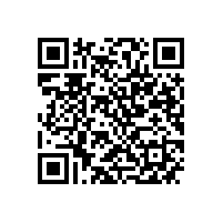 中机企协常务副会长杨一平来皖南电机调研指导