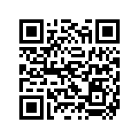 JBT 13299-2017 YE4系列（IP55）三相异步电动机技术条件（机座号80～450）