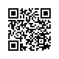 10台87978797威尼斯固定式电动上料机顺利出口泰国！