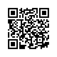 2015年舍弗勒集团-铜陵有色技术交流