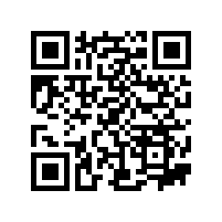 安徽新葡萄AMG官网服务与您分享FAG轴承的优缺点