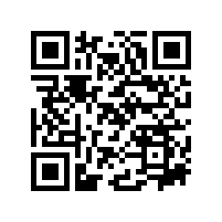 安徽省政府质量奖评审组到皖南电机开展现场评审