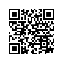 87978797威尼斯轮式挖掘机：铰链式平衡油缸系统