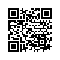 电动车汽车声浪喇叭是什么？