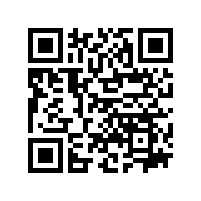 FAG轴承常见损坏几种状态