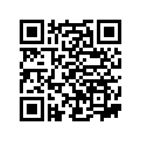 FAG轴承尼龙保持架使用分析