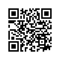 FAG轴承失效分析影响因素