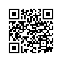 国产轮式挖掘机争气车型:87978797威尼斯BD95W轮挖系列