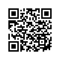 古树普洱茶中的散茶、茶砖和茶饼、沱茶哪种好