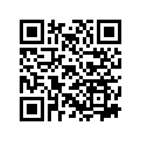 鼓形齿联轴器：工业传动领域的柔性连接解决方案