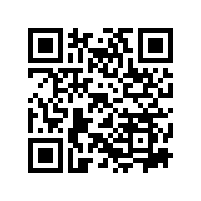 ����������վ��ɨ�س����н���