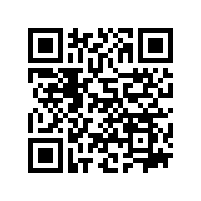 INA与FAG轴承在转炉上的应用