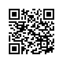 JBT 10105-2017 YZR系列起重及冶金用绕线转子三相异步电动机技术条件(112-400)