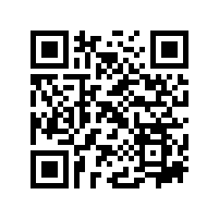 泾县2016年工业发展论坛在皖南电机举办