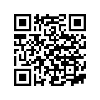 浅论造成fag进口轴承易损坏的原因？