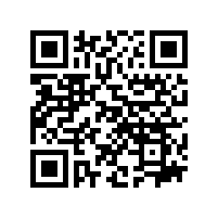 双峰海螺邀请安徽新葡萄AMG官网服务对关节轴承进行检测