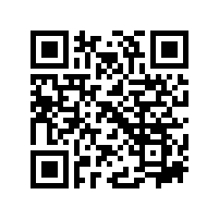 皖南电机荣获第四届“安徽省人民政府质量奖提名奖”