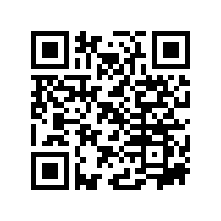 皖南电机样本-YVF2系列