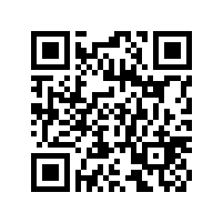 皖南电机应邀参加中国港口协会筒仓与散粮运输分会年度工作会