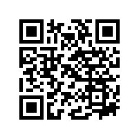 皖南电机召开基干民兵点验大会