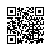 ���˼�ʻɨ�س����˽�����