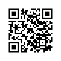 永磁直驱与半直驱电机的深度技术分析及未来展望